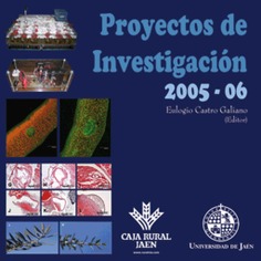 Proyectos de Investigación 2005-2006