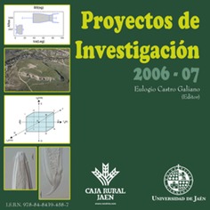 Proyectos de Investigación 2006-2007